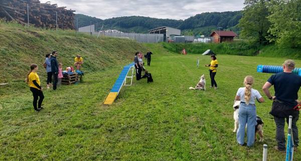 Agility za otroke: delavnica s kužki