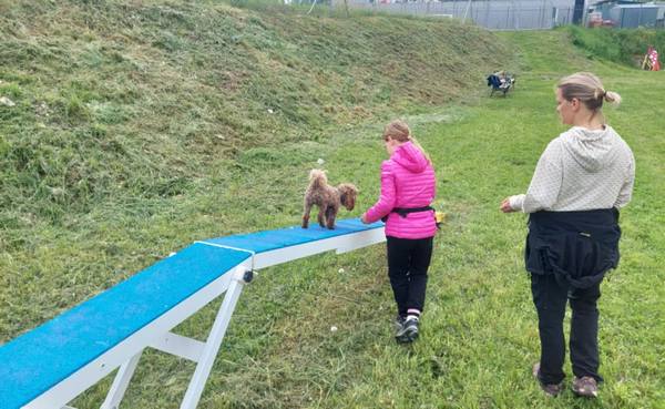 Agility za otroke: delavnica s kužki