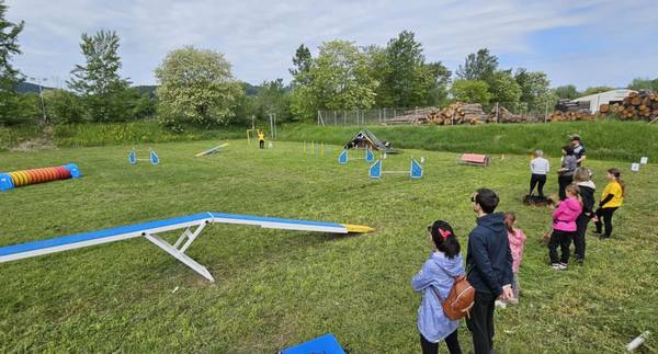 Agility za otroke: delavnica s kužki