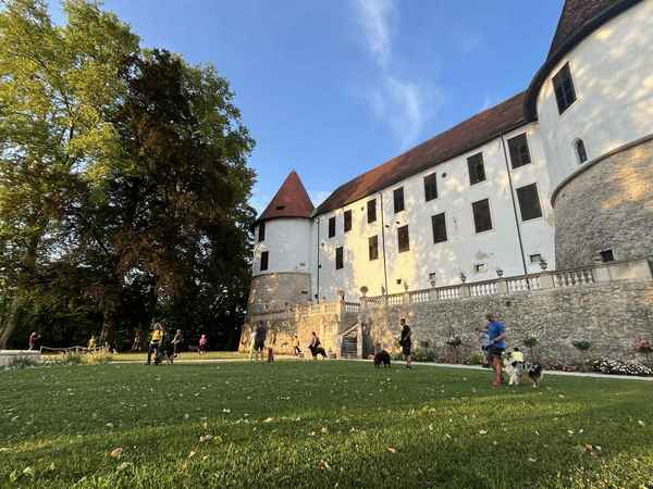 V pasji družbi na gradu Sevnica