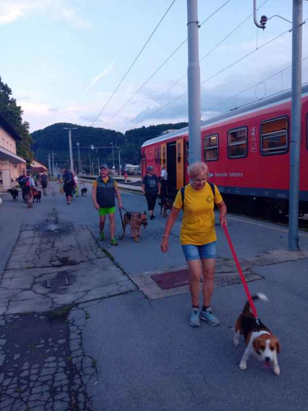 V pasji družbi na gradu Sevnica