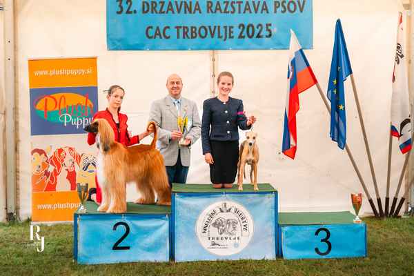 Trbovlje 2025: Uspeh KD Posavje