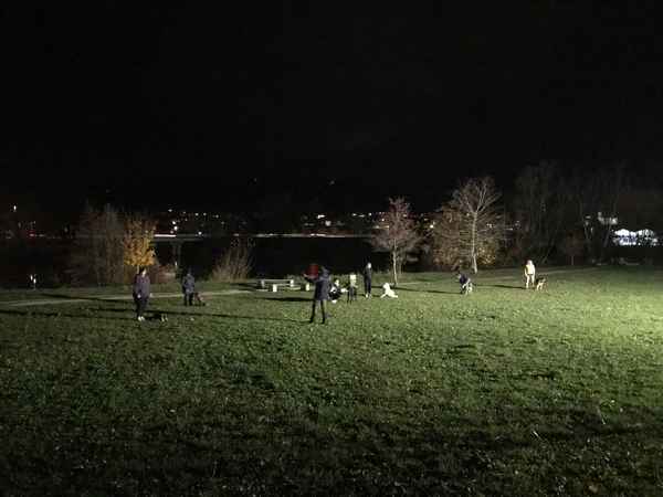 Rekorden obisk na izpitu male šole