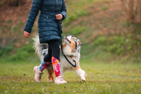 Super dan na izpitih v KD Posavju!