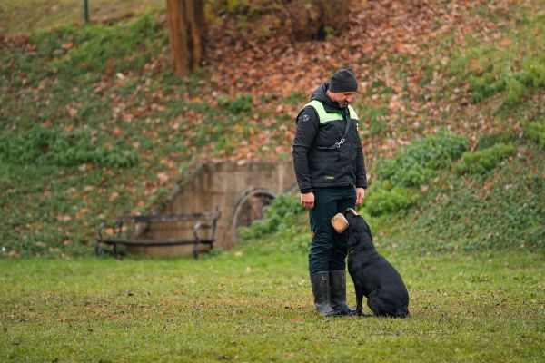 Super dan na izpitih v KD Posavju!