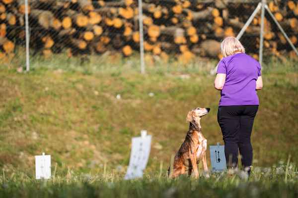 Nepozabno RO srečanje v Sevnici