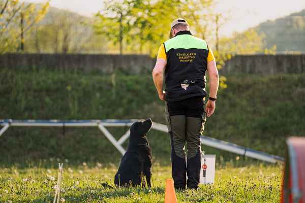 Nepozabno RO srečanje v Sevnici