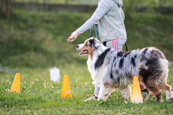 Nepozabno RO srečanje v Sevnici