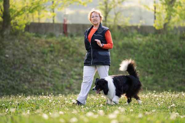 Nepozabno RO srečanje v Sevnici