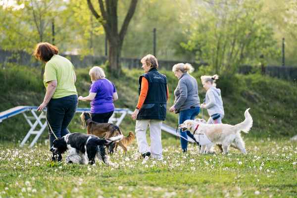 Nepozabno RO srečanje v Sevnici