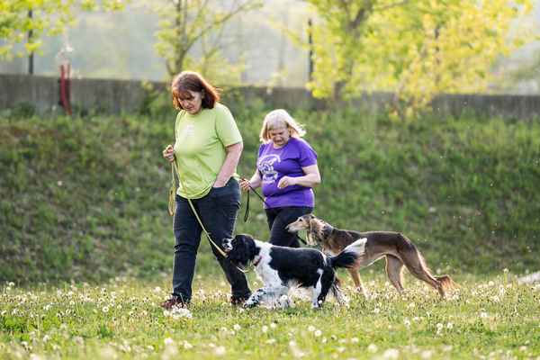Nepozabno RO srečanje v Sevnici