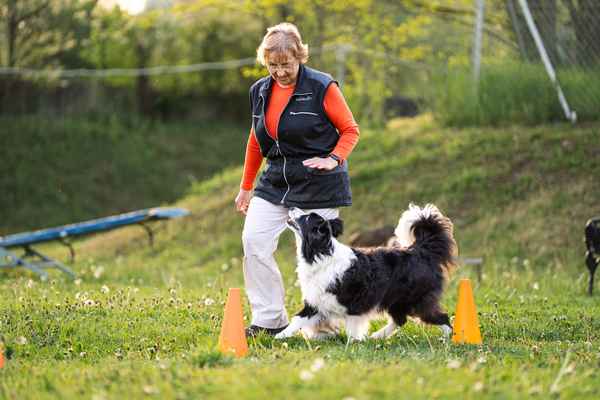 Nepozabno RO srečanje v Sevnici