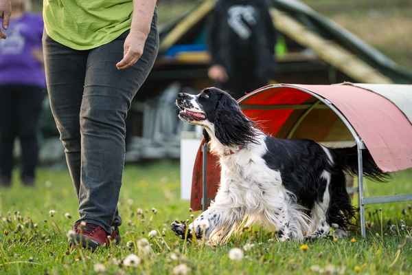 Nepozabno RO srečanje v Sevnici