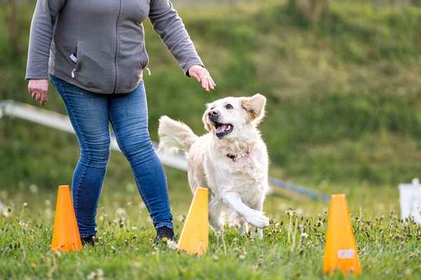 Nepozabno RO srečanje v Sevnici