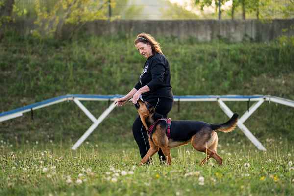 Nepozabno RO srečanje v Sevnici