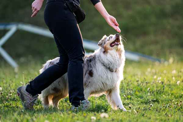 Nepozabno RO srečanje v Sevnici