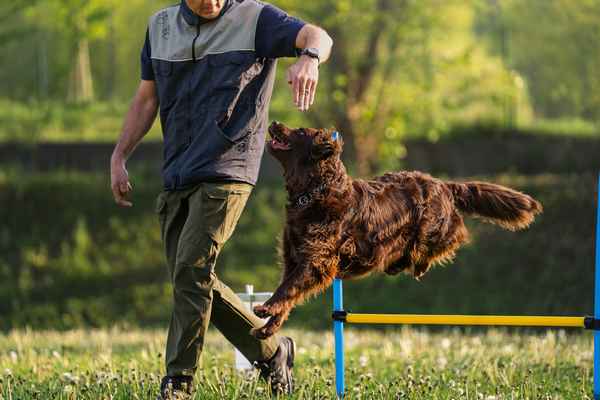Nepozabno RO srečanje v Sevnici