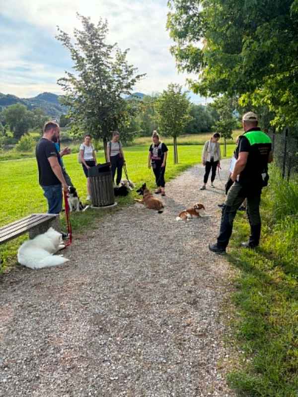Uspešno zaključeni izpiti Male šole
