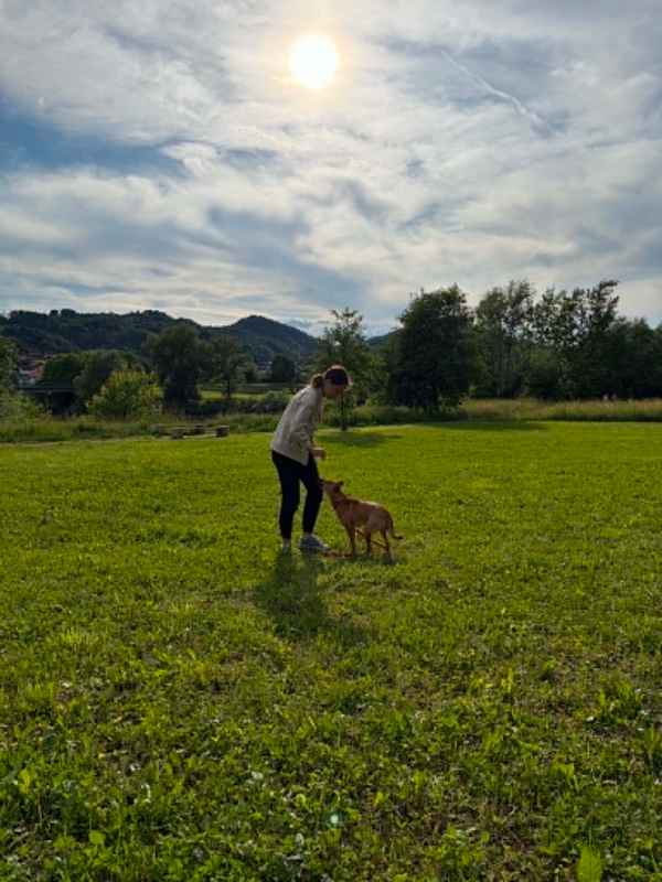 Uspešno zaključeni izpiti Male šole