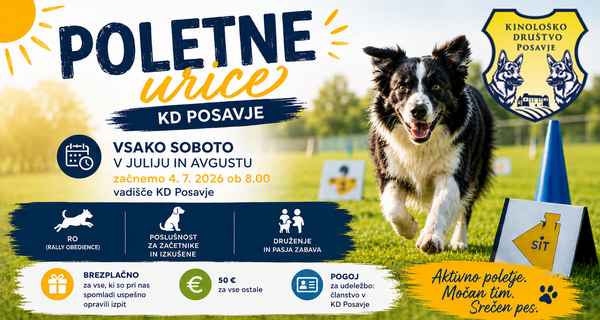 Poletne urice v KD Posavje