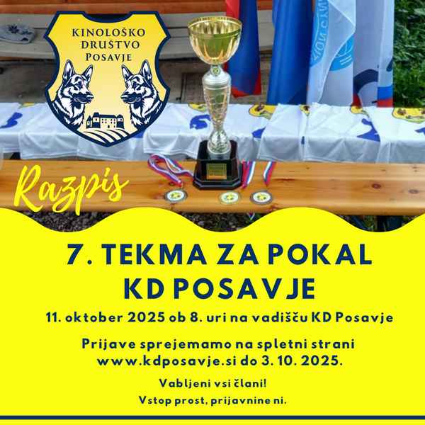 7. tekma za pokal KD Posavje