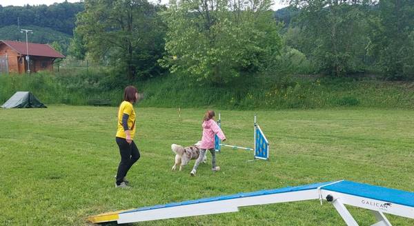 Delavnica agility za otroke