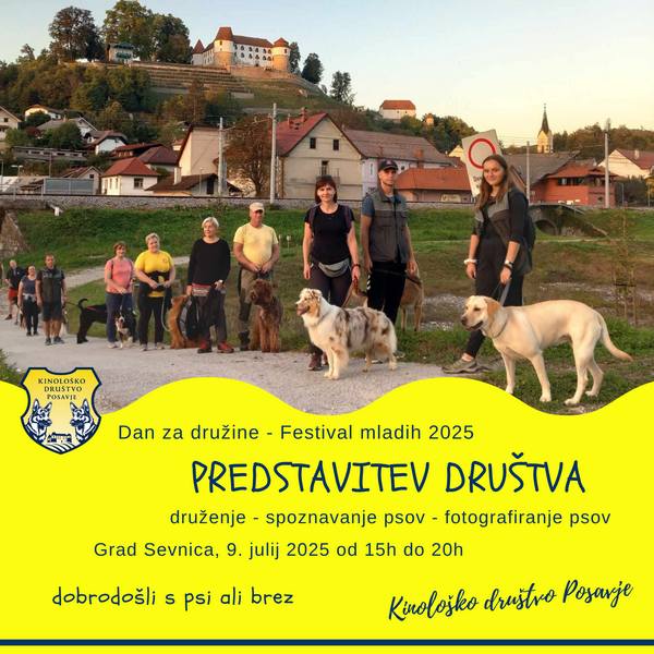 Dan za družine