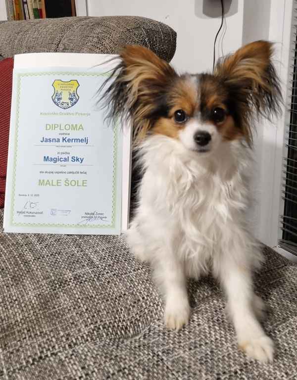 Rekorden obisk na izpitu male šole