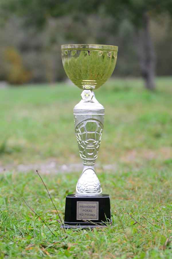 Pokal KD Posavje