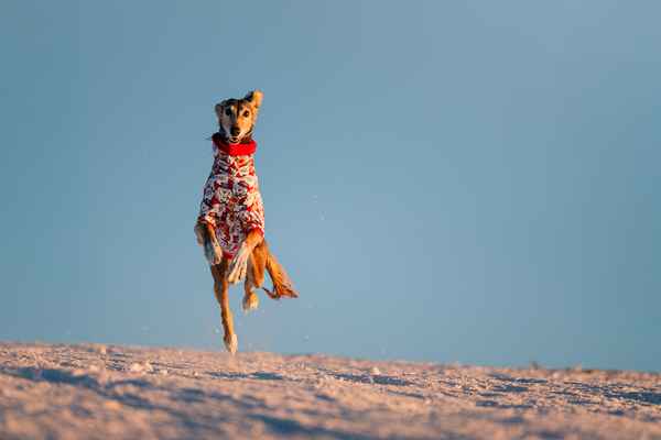 Bareen Al Nasya na snegu