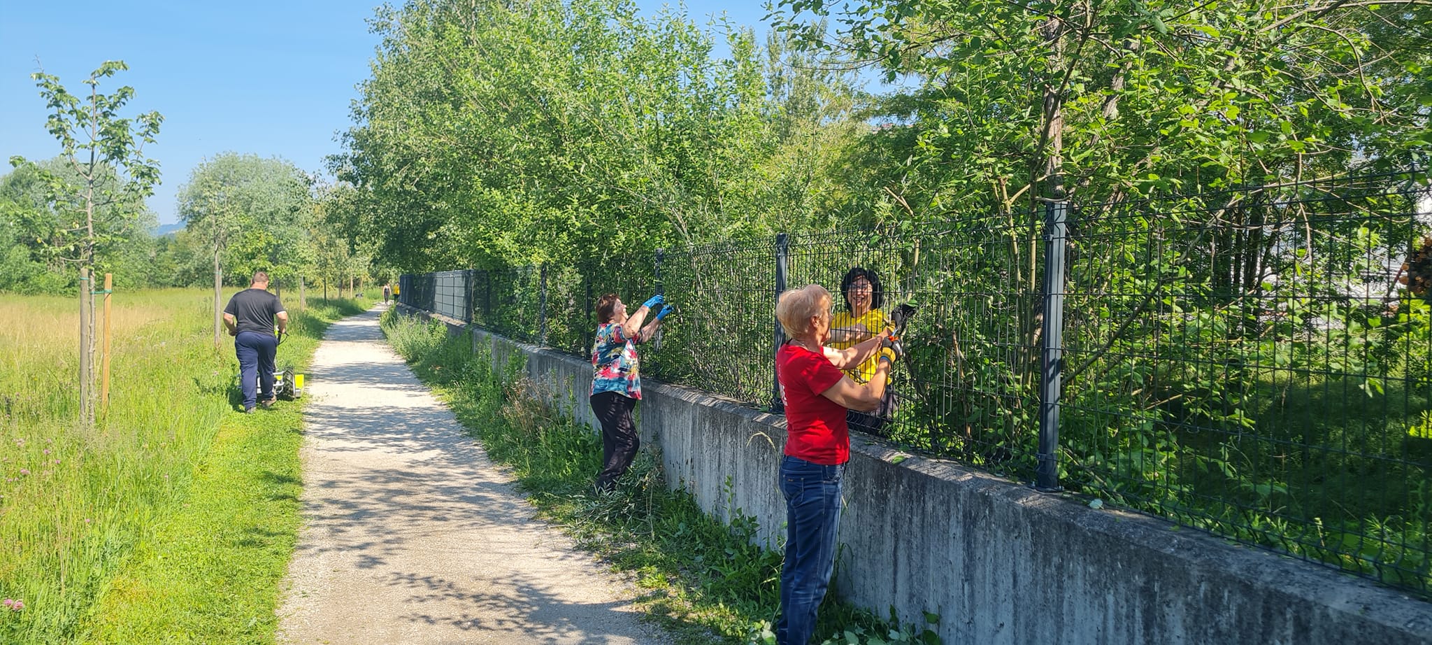 Delovna akcija pred pričetkom tečajev