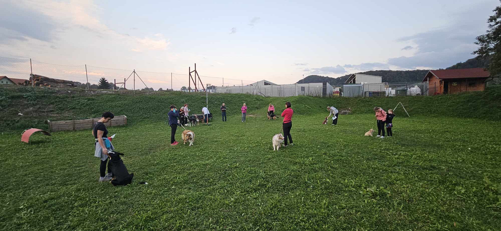 Delavnici preventivna nega in mobilnost psov